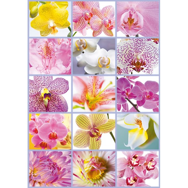 Educa (16302) - "Collage of Flowers" - 1500 piezas
