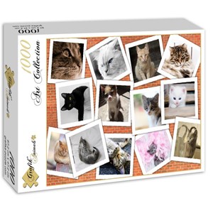 Grafika (02213) - "Cats" - 1000 piezas