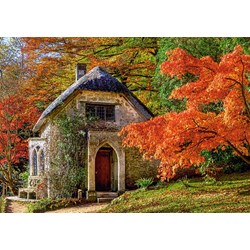Castorland (B-52806) - "Gothic House in Autumn" - 500 piezas