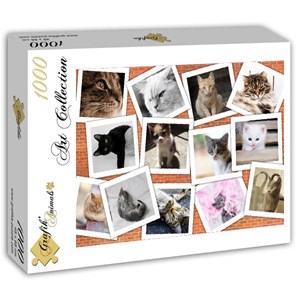 Grafika (T-00381) - "Cats" - 1000 piezas