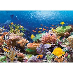 Castorland (C-101511) - "Coral Reef" - 1000 piezas