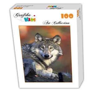 Grafika Kids (00516) - "Wolf" - 100 piezas