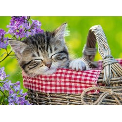 Ravensburger (10539) - "Sleeping Kitten" - 100 piezas