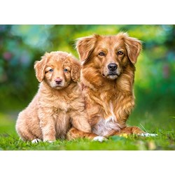 Castorland (13265) - "Always Together" - 120 piezas