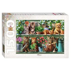 Step Puzzle (83057) - "Kittens in the Shelf" - 1500 piezas